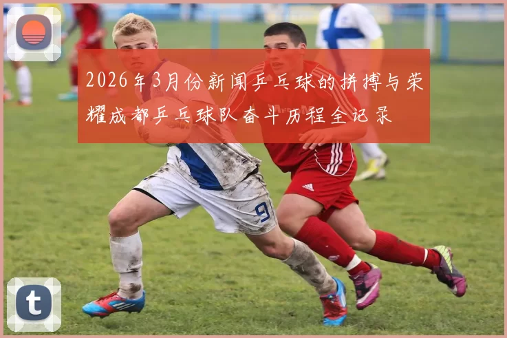 2026年3月份新闻乒乓球的拼搏与荣耀成都乒乓球队奋斗历程全记录