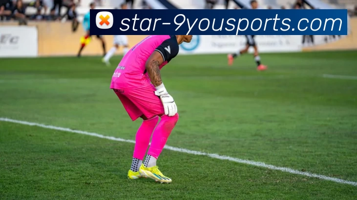 九游体育发展历程